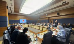 'Dijital Mecralarda Çocuklarımızı Bekleyen Tehditler ve Riskler' raporu alt komisyonda kabul edildi