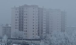 Diyarbakır'da yoğun sis ve kırağı; uçak seferleri iptal edildi