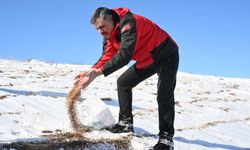 Doğaya yem bırakıp karda rafting yaptılar