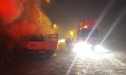 Duvara çarpan kamyonet yandı