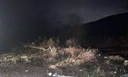 Edirne'de sağanak (4)