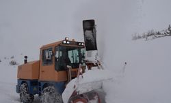 Elazığ'da 113 köy yolu kardan kapandı