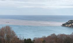 Eriyen kar suları nedeniyle denizin rengi değişti