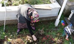 Eşinin katlettiği Sinem'in ailesine cezaevindeki sanıktan 'defin isteği' mektubu (2)