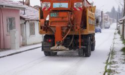 Eskişehir'de kar yağışı etkili oldu