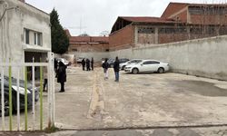 Eskişehir'de kuvvetli rüzgar ağaçları devirdi (2)