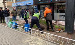 Eskişehir'de kuvvetli rüzgar ağaçları devırdi