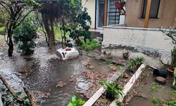 Foça'da fırtına ve sağanak yağmur yaşamı etkiledi