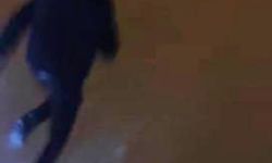 Görüntülemek istedikleri kurdun saldırısından araçlarına binerek kurtuldular