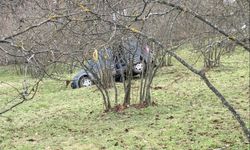 Hafif ticari araç, fındık bahçesine yuvarlandı: 1 ölü, 2 yaralı