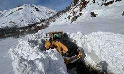 Hakkari'de 310 köy yolu ulaşıma açıldı