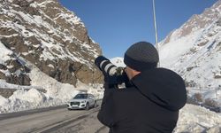 Hakkari'de, aç kalan yaban keçileri yol kenarına indi