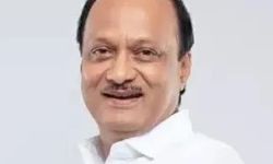 Hindistan'da uçak kazası: Eyalet Başbakan Yardımcısı ile 4 kişi hayatını kaybetti