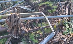 Hortumun neden olduğu zarar, gün ağardığında ortaya çıktı