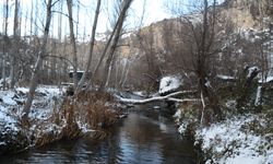 Ihlara Vadisi'ni 2025'te 510 bin kişi ziyaret etti