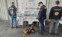 İskenderun Limanı'nda 1 milyon 392 bin uyuşturucu hap ele geçirildi