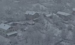 İstanbul- Beykoz ve Başakşehir'de kar yağışı havadan görüntülendi