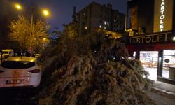 İstanbul - Fırtına nedeniyle Beylikdüzü'nde 15 katlı binanın dış cephesi uçtu; Ataşehir'de ağaç devrildi