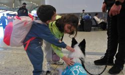 İstanbul- İstanbul Havalimanı'nda yarıyıl tatili yoğunluğu