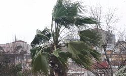 İstanbul- İstanbul'da lodos etkili oluyor