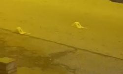 İstanbul - Kağıthane'de caddede kalaşnikoflu saldırı kamerada; 'İşi dayı lakaplı kişiden aldım'