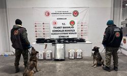 İstanbul ve Gürbulak'ta 1,9 milyon lira değerinde uyuşturucu ele geçirildi