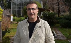 İzmir'de endemik bitki türü keşfedildi; İzmir göbek otu