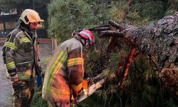 İzmir'de sağanak etkili oldu (3)