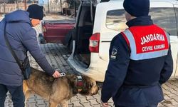 Jandarma köpek dövüşünü dronla tespit etti; 14 gözaltı