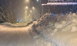 Kahramanmaraş'ta karla kaplı 3 ahırın çatısı çöktü; 65 büyükbaş öldü