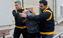 Kamyonetiyle kediyi ezen sürücüye 1 ay hayvan barınağında çalışma cezası