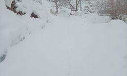 Kar kalınlığının 2 metreyi bulduğu mezrada evi ile ahırı arasına tünel açtı