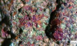 Kayseri'de müzedeki ve kazı çalışmalarında bulunan eserler konservasyon laboratuvarında temizleniyor / Ek fotoğraflar