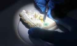 Kayseri'de müzedeki ve kazı çalışmalarında bulunan eserler konservasyon laboratuvarında temizleniyor