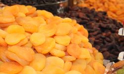 Kuru kayısı ihracatından 303 milyon 584 bin dolar gelir