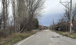 Kütahya'da kuvvetli fırtına nedeniyle ağaçlar devrildi