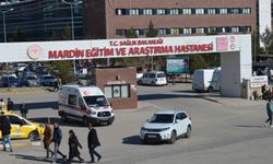 Mardin'de baba ile oğlu, 1 gün arayla beyin kanamasından öldü