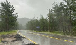 Marmaris'te fırtına; ağaçlar devrildi, yelkenli tekne karaya oturdu