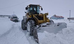 Minik Adar için ekipler seferber oldu