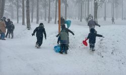 Ordu'da eğitime kar engeli