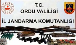 Ordu'da silah ve uyuşturucu operasyonu