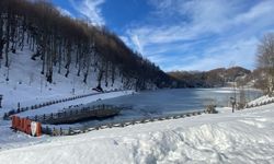 Ordu'daki Ulugöl buz tuttu