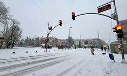 Sakarya'da vatandaşlar, yeni yıla karla uyandı