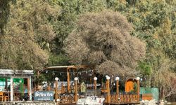 'Sakin Şehir'de denizin rengi değişti