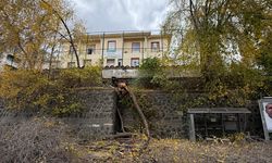 Samsun'da fırtına; ağaçlar devrildi / Ek fotoğraflar