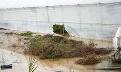 'Sarı kod'la uyarılan Antalya'da tarım alanları su altında kaldı (3)