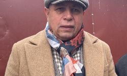 Sisli havada köye inen kurt, ağıldaki 200 koyunu öldürdü