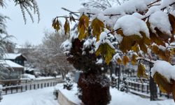 Sivas'ta kar etkili oldu