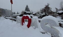 Sivas'ta kar yağışı; 945 yerleşim yeri ulaşıma kapandı