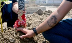 SMA'lı Yasmin Elif'in ölümünün araştırılmasına ilişkin soruşturma izni reddedildi, aile karara itiraz etti